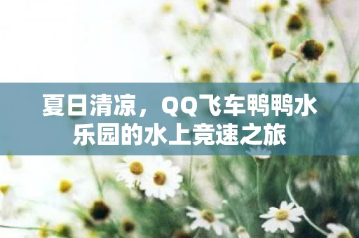 QQ飞车鸭鸭水乐园的水上竞速之旅图片