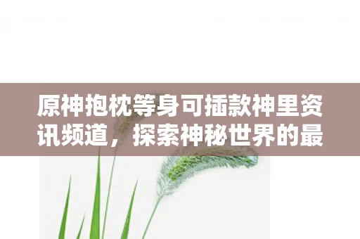 原神抱枕等身可插款神里资讯频道图片