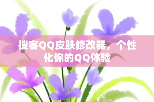 搜客QQ皮肤修改器图片