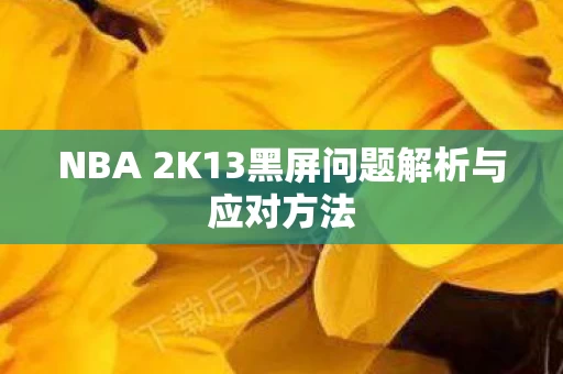 NBA 2K13黑屏问题解析与应对方法图片