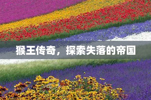 探索失落的帝国图片