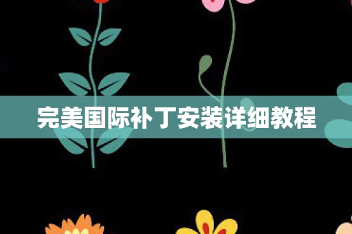 完美国际补丁安装详细教程图片