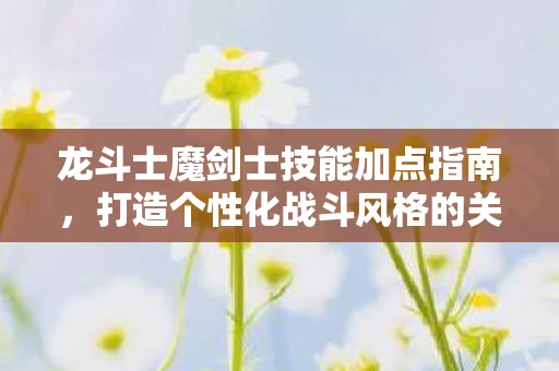 龙斗士魔剑士技能加点指南图片