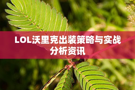 LOL沃里克出装策略与实战分析资讯图片