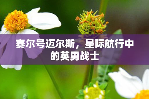 星际航行中的英勇战士图片