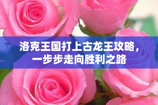 洛克王国打上古龙王攻略图片
