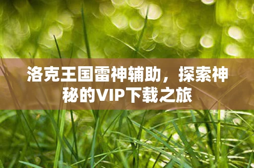 探索神秘的VIP下载之旅图片