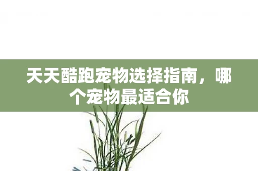 天天酷跑宠物选择指南图片