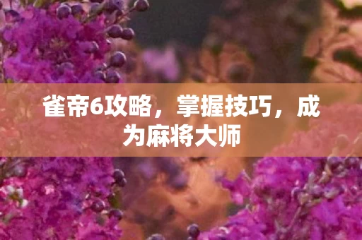 成为麻将大师图片