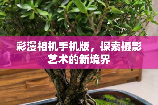 探索摄影艺术的新境界图片