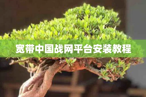 宽带中国战网平台安装教程图片