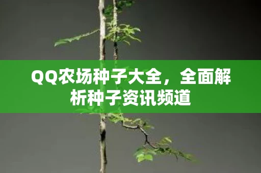 全面解析种子资讯频道图片