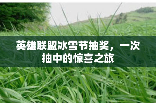 英雄联盟冰雪节抽奖图片