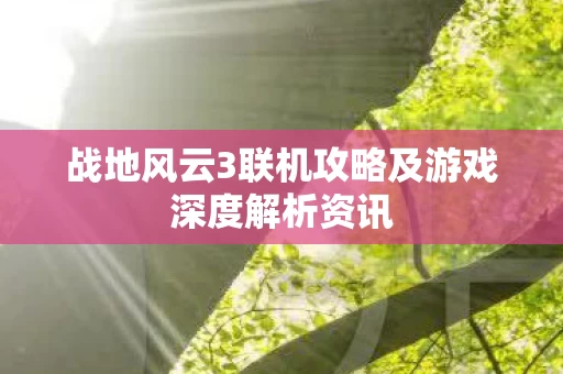 战地风云3联机攻略及游戏深度解析资讯图片