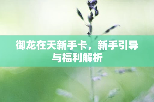 新手引导与福利解析图片