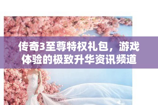 游戏体验的极致升华资讯频道图片