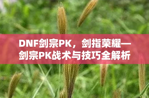 剑宗PK战术与技巧全解析图片