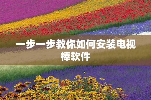 一步一步教你如何安装电视棒软件图片