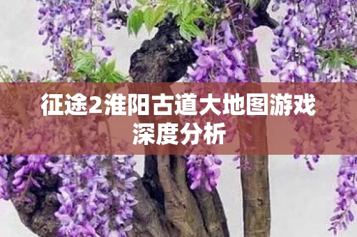 征途2淮阳古道大地图游戏深度分析图片