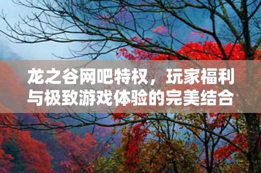 玩家福利与极致游戏体验的完美结合图片
