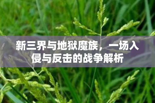 一场入侵与反击的战争解析图片