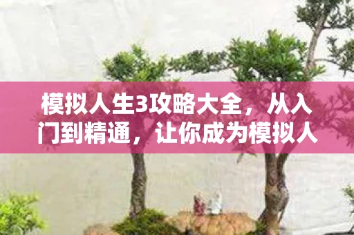 让你成为模拟人生高手图片