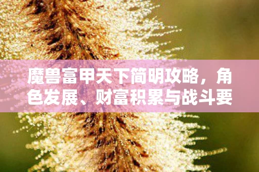 财富积累与战斗要领详解图片