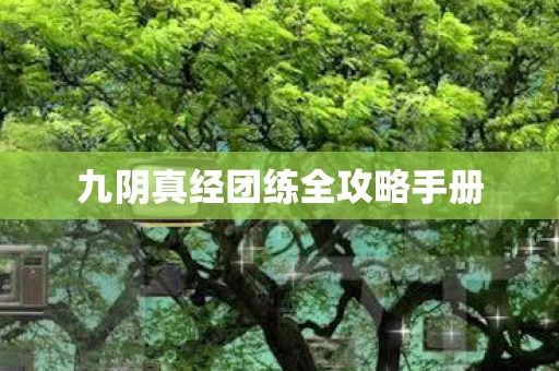 九阴真经团练全攻略手册图片