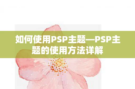 PSP主题的使用方法详解图片