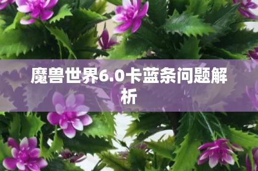 0卡蓝条问题解析图片