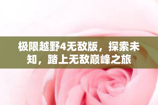 极限越野4无敌版图片
