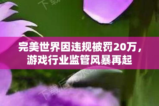 完美世界因违规被罚20万图片