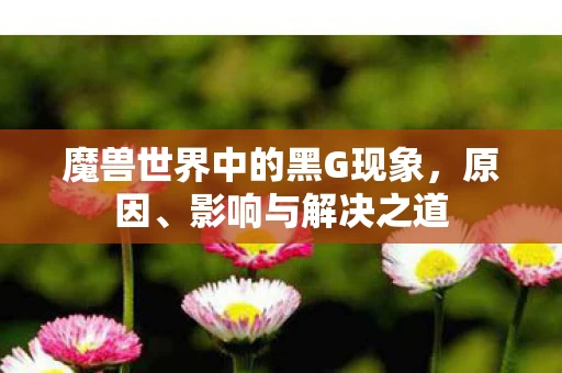 魔兽世界中的黑G现象图片