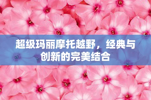 经典与创新的完美结合图片