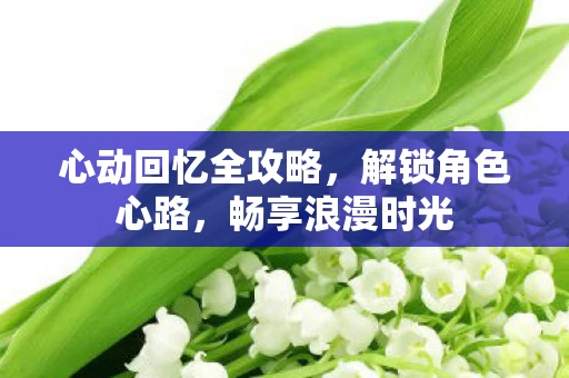 心动回忆全攻略图片