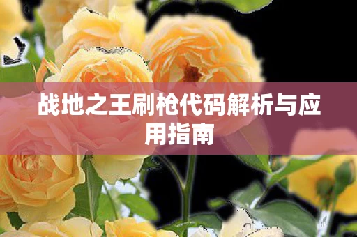 战地之王刷枪代码解析与应用指南图片