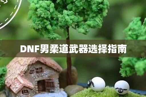 DNF男柔道武器选择指南图片