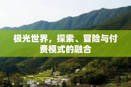 冒险与付费模式的融合图片