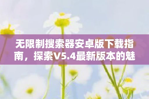 无限制搜索器安卓版下载指南图片