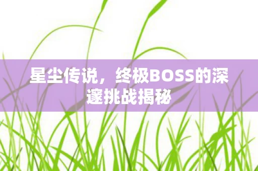 终极BOSS的深邃挑战揭秘图片