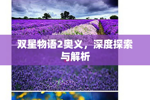 双星物语2奥义图片