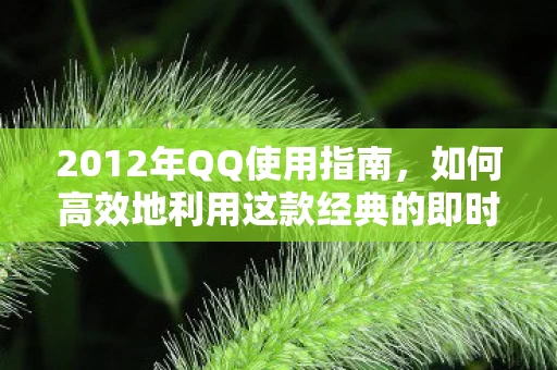 如何高效地利用这款经典的即时通讯软件图片