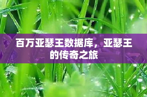 百万亚瑟王数据库图片