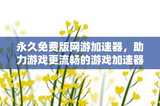 助力游戏更流畅的游戏加速器图片