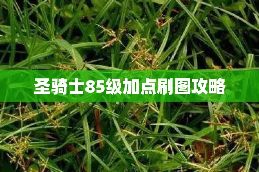 圣骑士85级加点刷图攻略图片