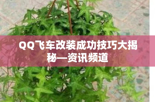 QQ飞车改装成功技巧大揭秘图片