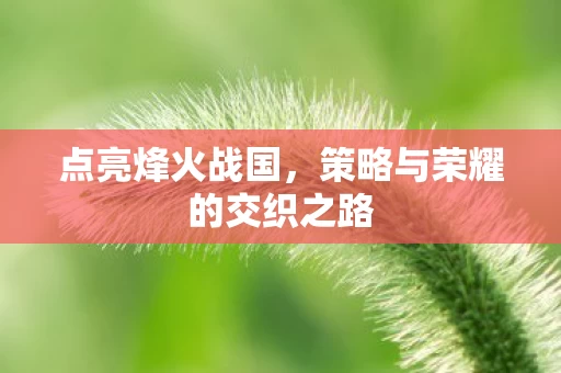 策略与荣耀的交织之路图片