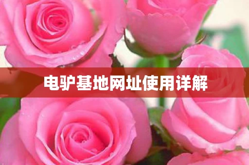 电驴基地网址使用详解图片