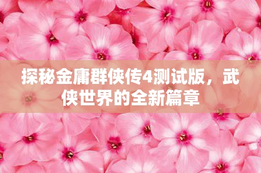 探秘金庸群侠传4测试版图片