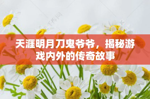 揭秘游戏内外的传奇故事图片